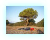 SardKors2010- (25)-web1.jpg